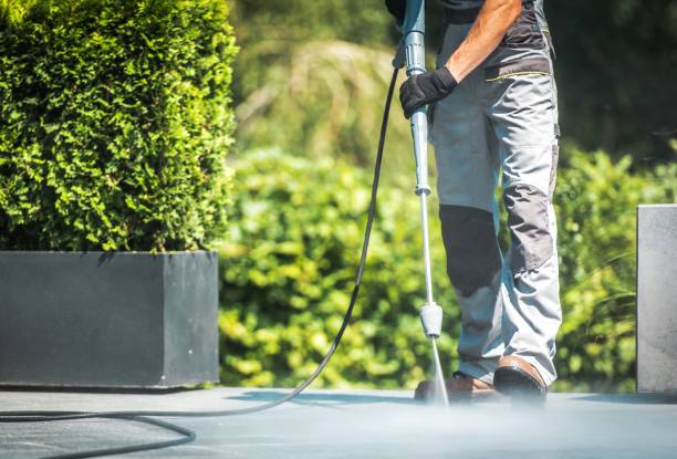 Best Concrete Surface Cleaning in Fridley, MN