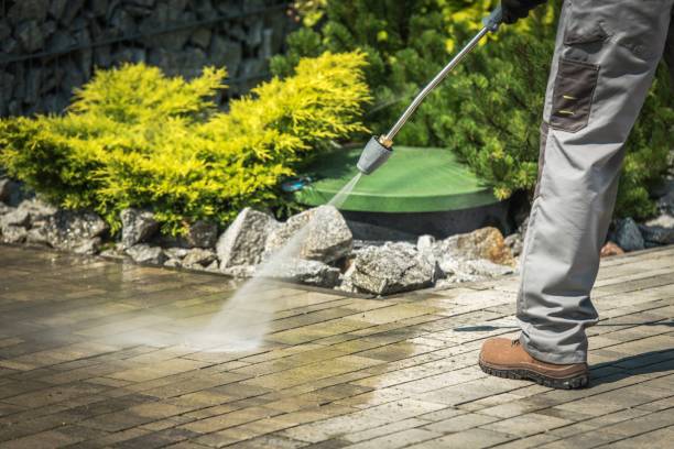 Best Window and Screen Pressure Cleaning in Fridley, MN
