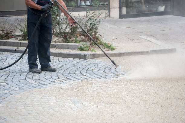 Best Driveway Cleaning and Restoration in Fridley, MN