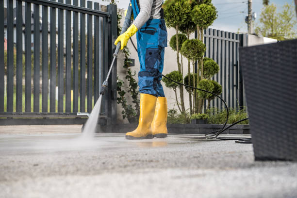Best Sidewalk and Walkway Pressure Cleaning in Fridley, MN